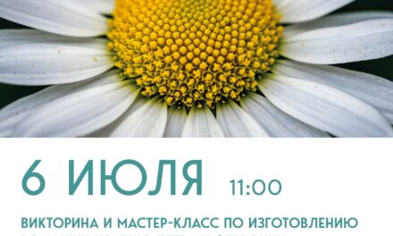В преддверии Дня Петра и Февронии, ДК «Мечта» м. о. Чехов, приглашает всех на тёплое и душевное мероприятие на свежем воздухе!